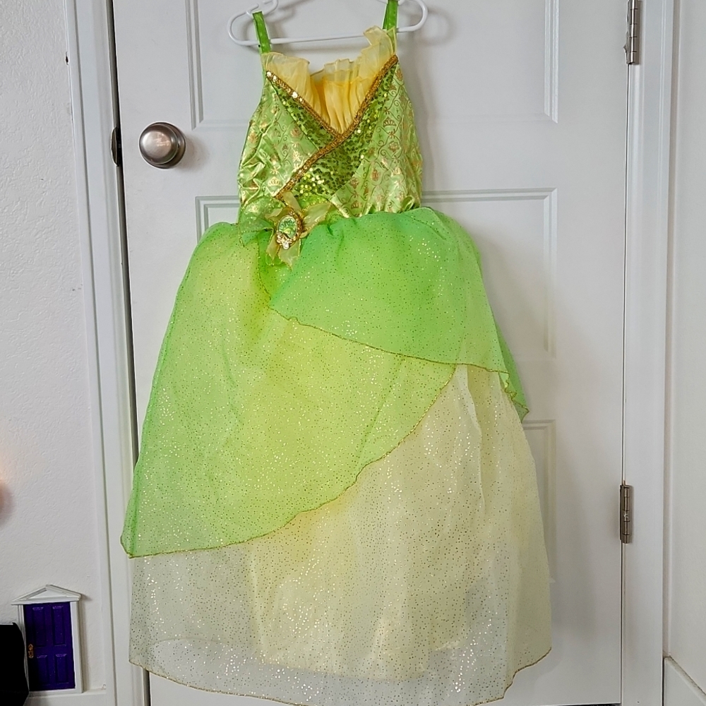 Disney Princess Tiana Dress